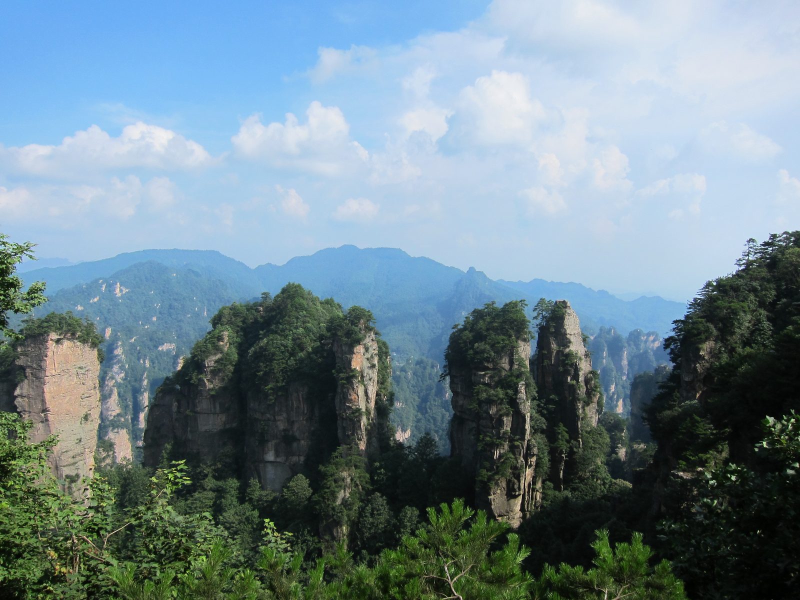 Forest-covered stone pillars in Zhangjiajie National Forest Park